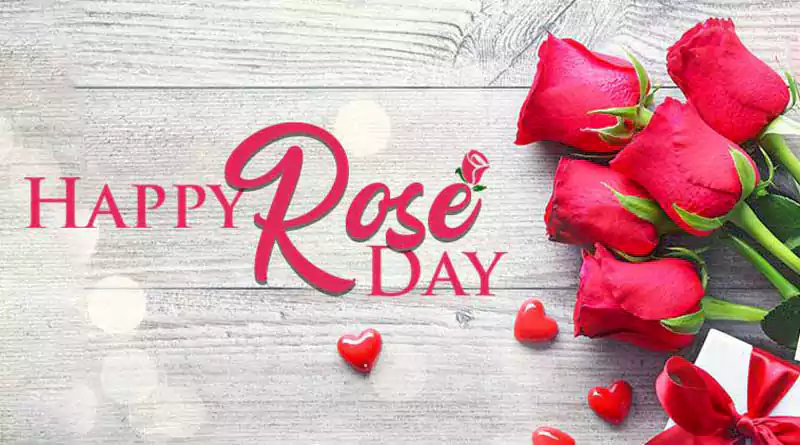rose day quotes for wife