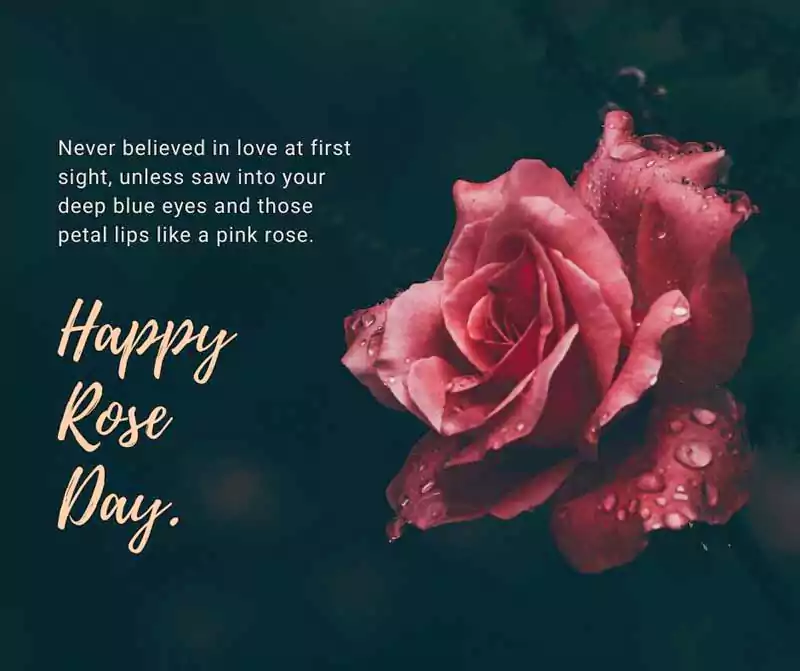 rose day quotes with image