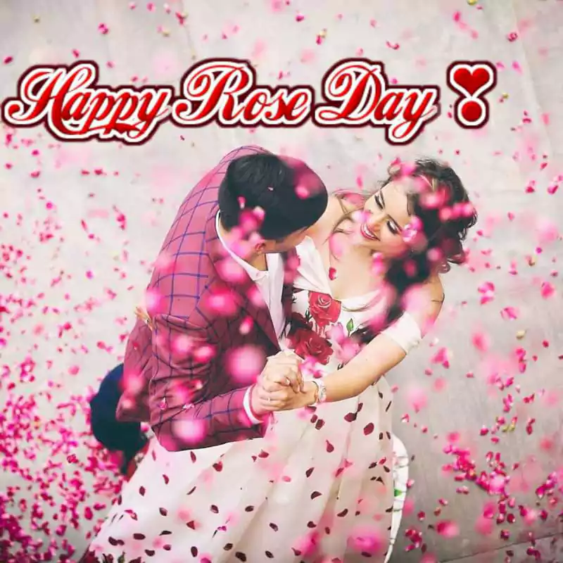 rose day quotes with image