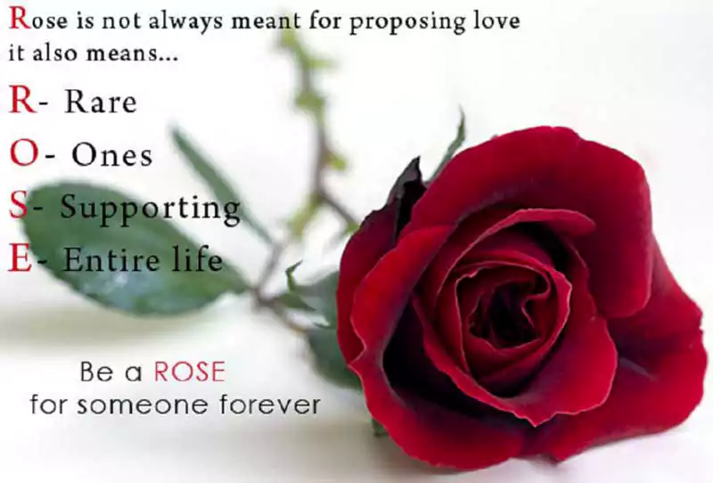 rose day romantic quotes
