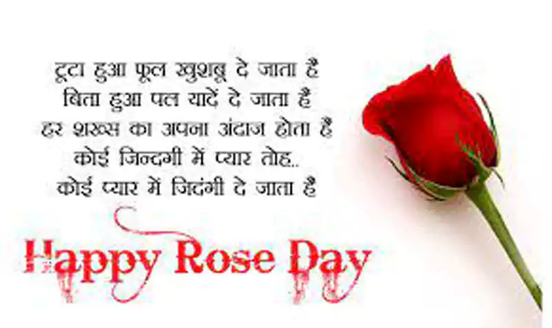 rose day wishes message for hubby