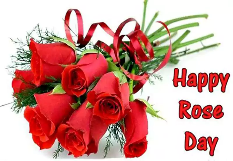 rose day wishes messages for friends