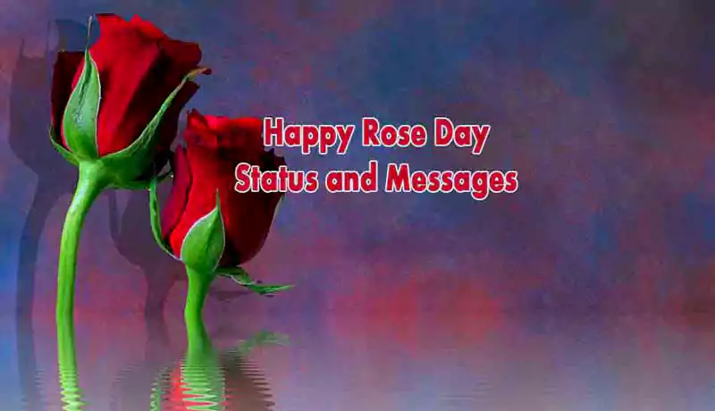 rose day wishes messages for friends