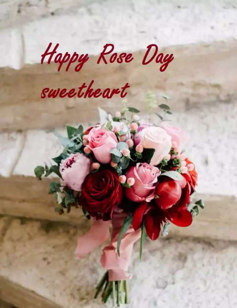 rose day wishes messages for wife