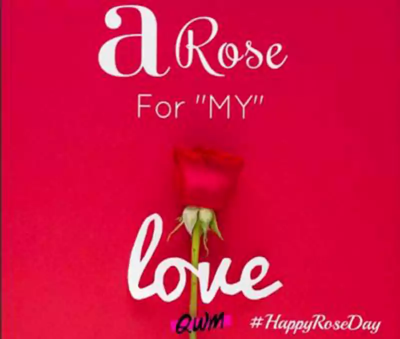 rose day wishes messages for wife