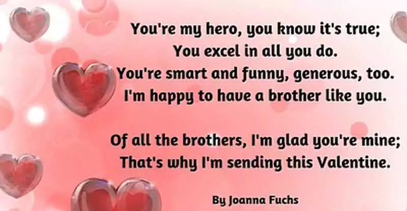Happy Valentines Day Brother Quotes