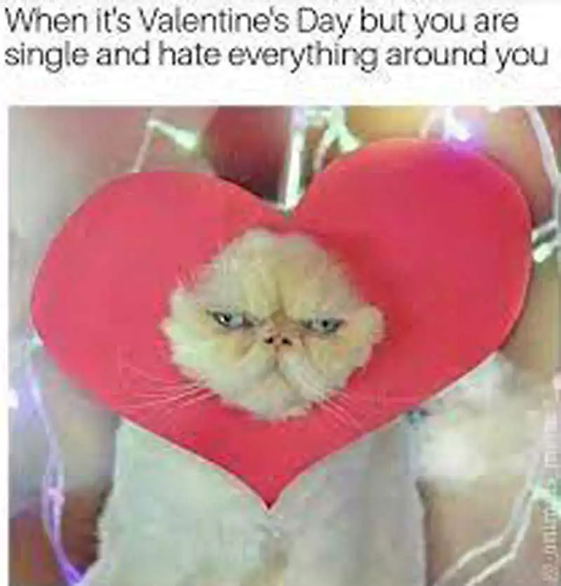 I Hate Valentines Day Meme