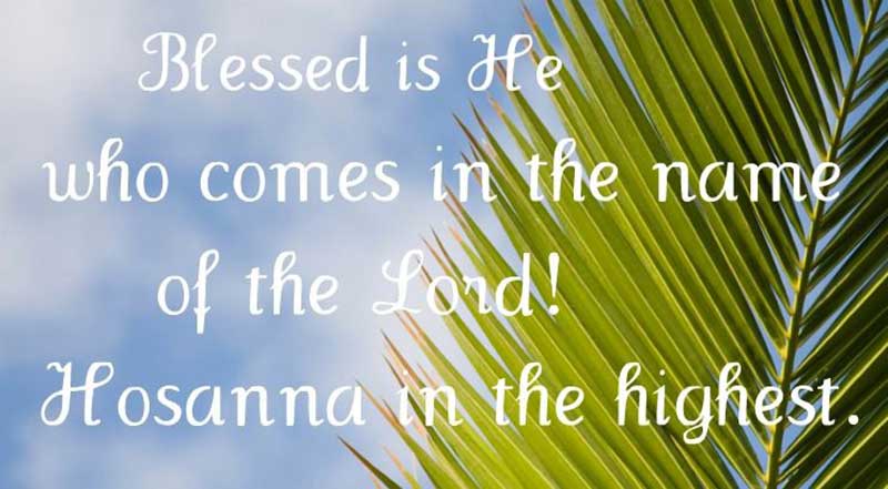 Bible Quote for Palm Sunday