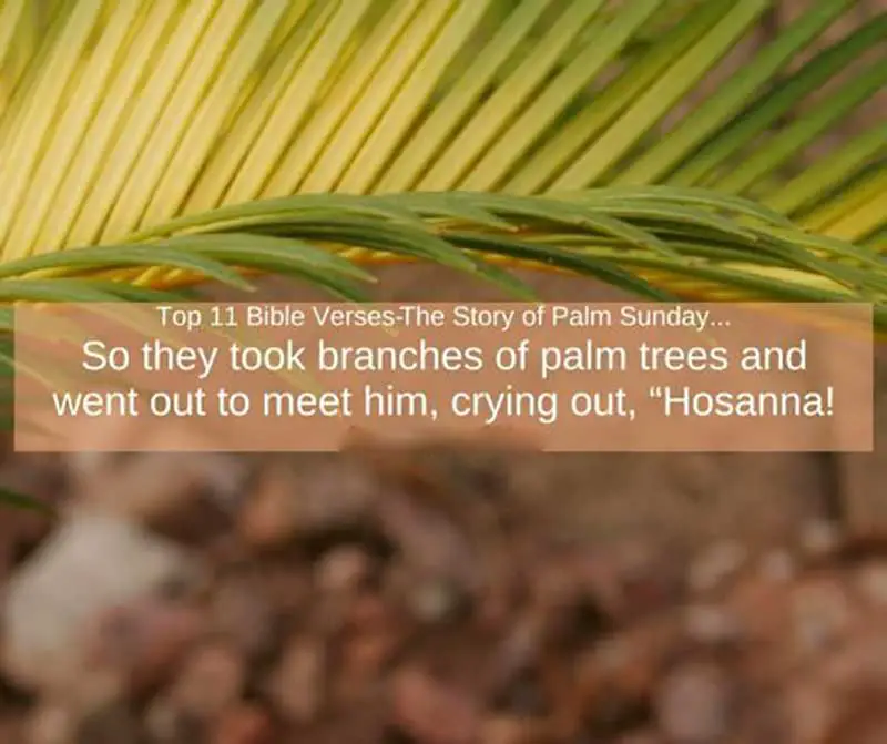 Bible Verses for Palm Sunday