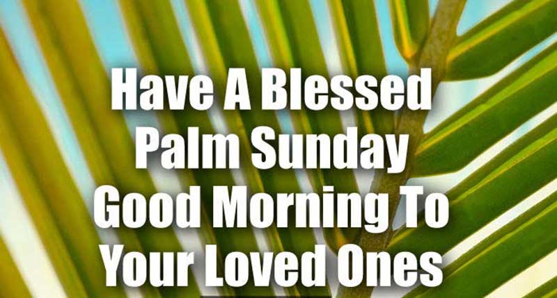 Good Morning Palm Sunday Quotes