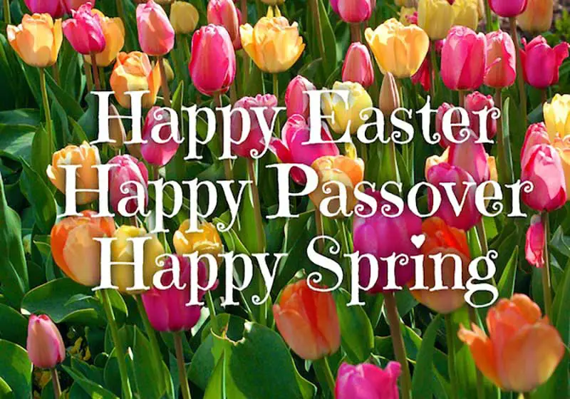 Happy Easter Passover Greetings