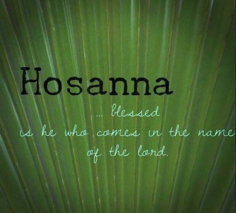 Hosanna Palm Sunday Quotes