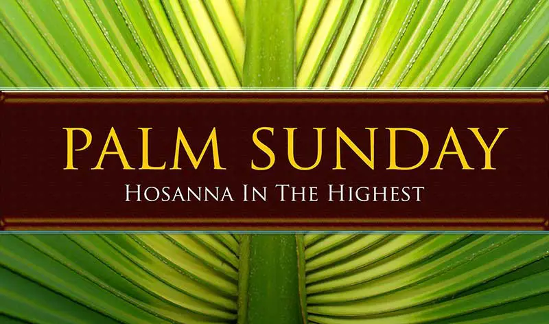 Palm Sunday Background Images