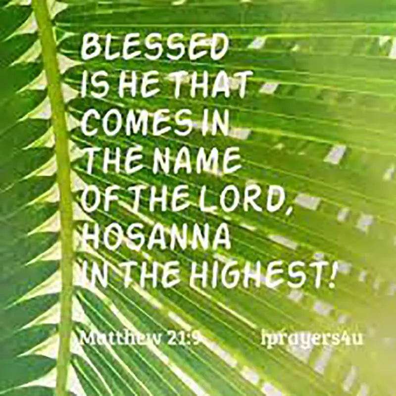 Palm Sunday Bible Scripture
