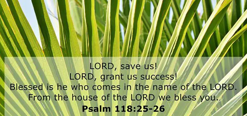 Palm Sunday Bible Verses Luke