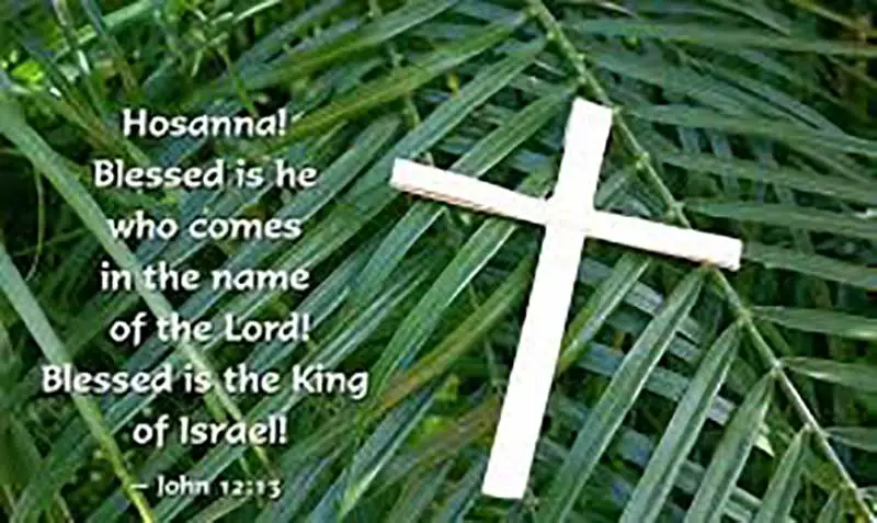 Palm Sunday Scripture Hosanna