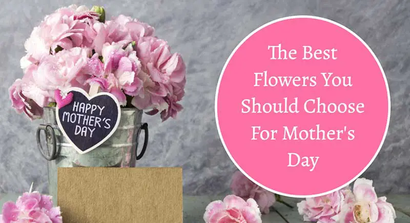 best flowers for mothers day