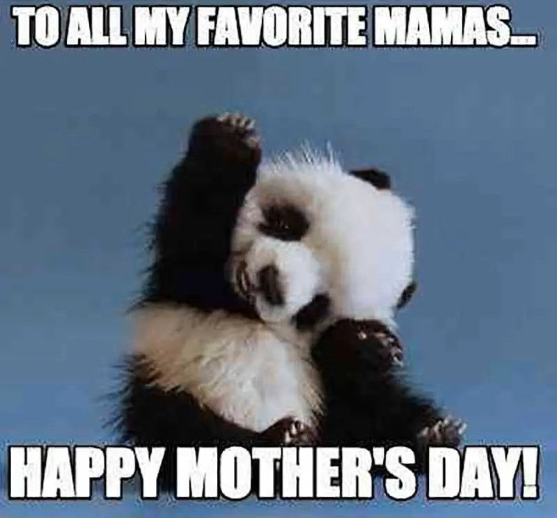 happy mothers day funny memes