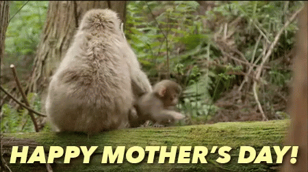 happy mothers day gif funny