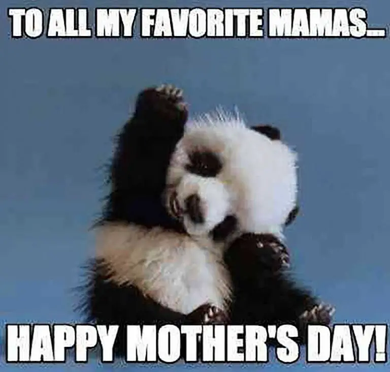 95 Hilarious Mothers Day Memes Collection Quotesproject Com