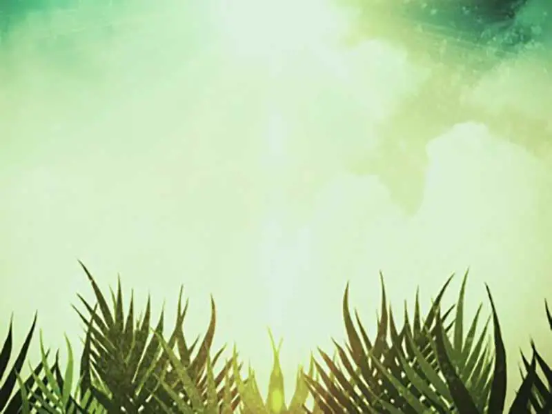 palm sunday backgrounds powerpoint