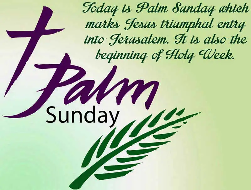palm sunday bible verse