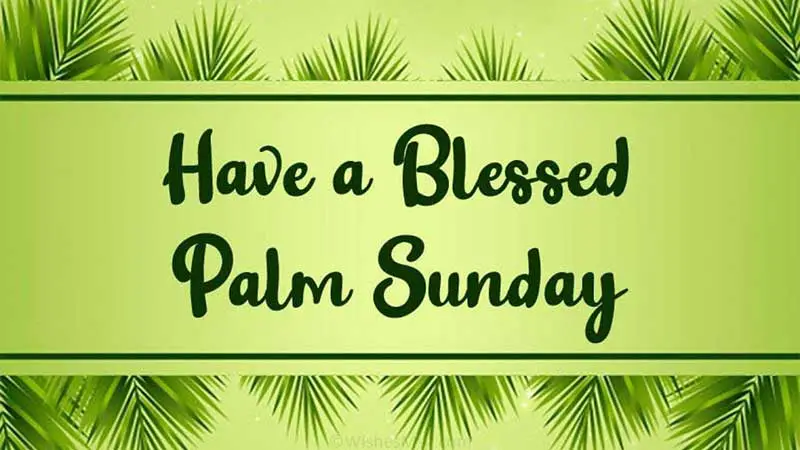 palm sunday cards