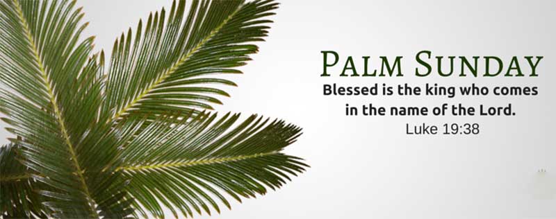 palm sunday memes for facebook