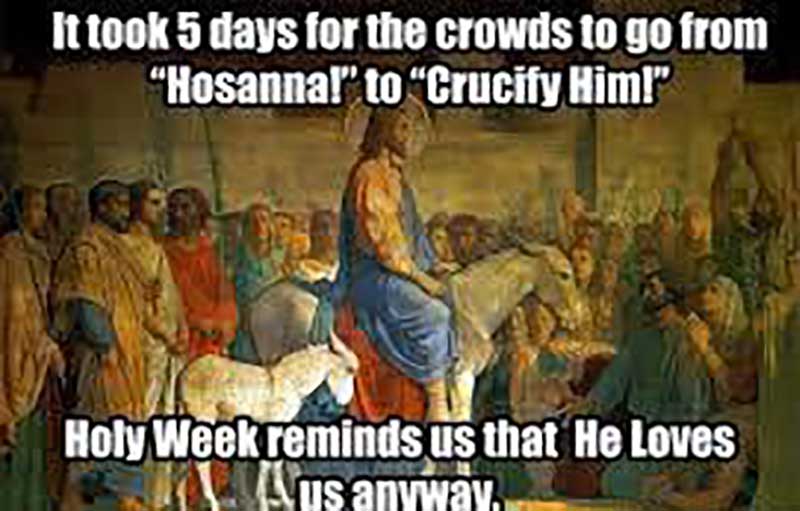 palm sunday memes for facebook