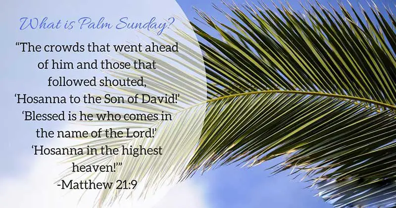 palm sunday message in the bible