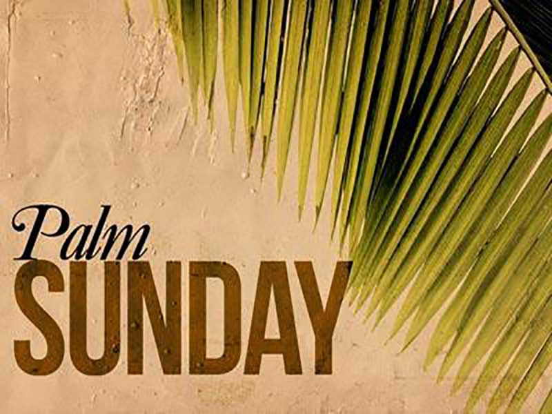 palm sunday powerpoint backgrounds