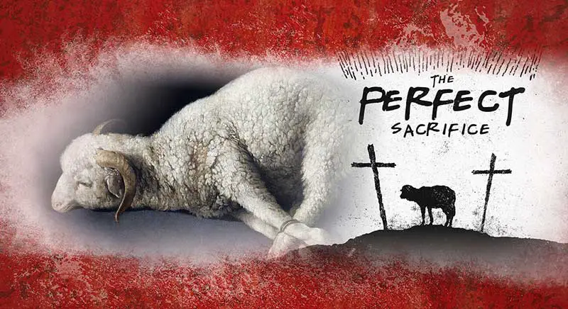 passover lamb images