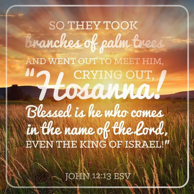 scripture about palm sunday