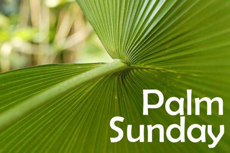 slogan for palm sunday
