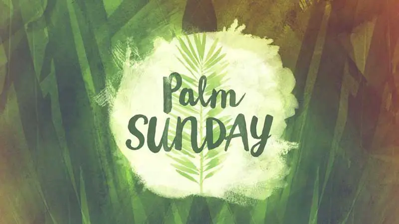 slogan for palm sunday