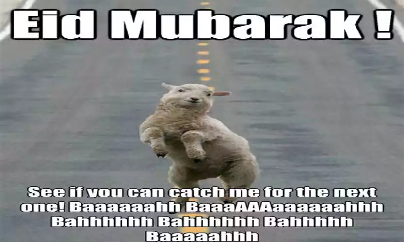Eid Mubarak Funny Quotes