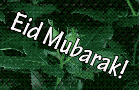 Eid Mubarak With Name GIF