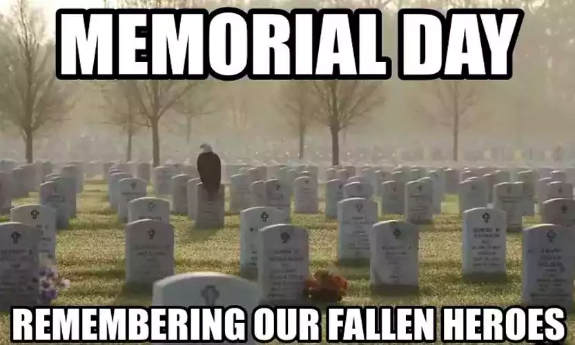 remembrance memorial day memes