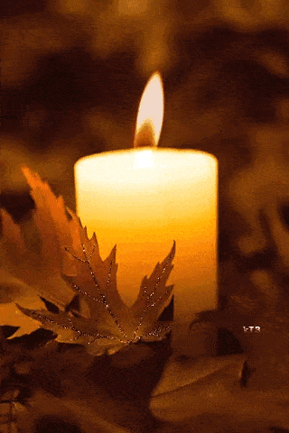 All Souls Day Gif