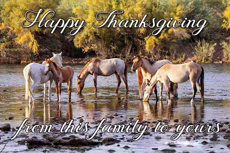 happy thanksgiving horse image