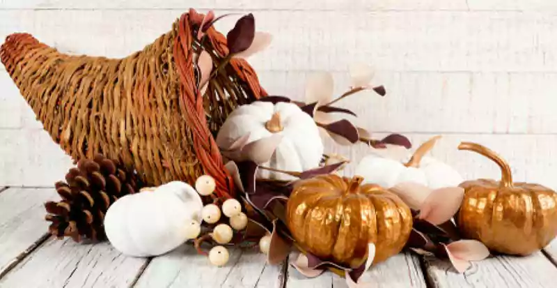 thanksgiving decorations image