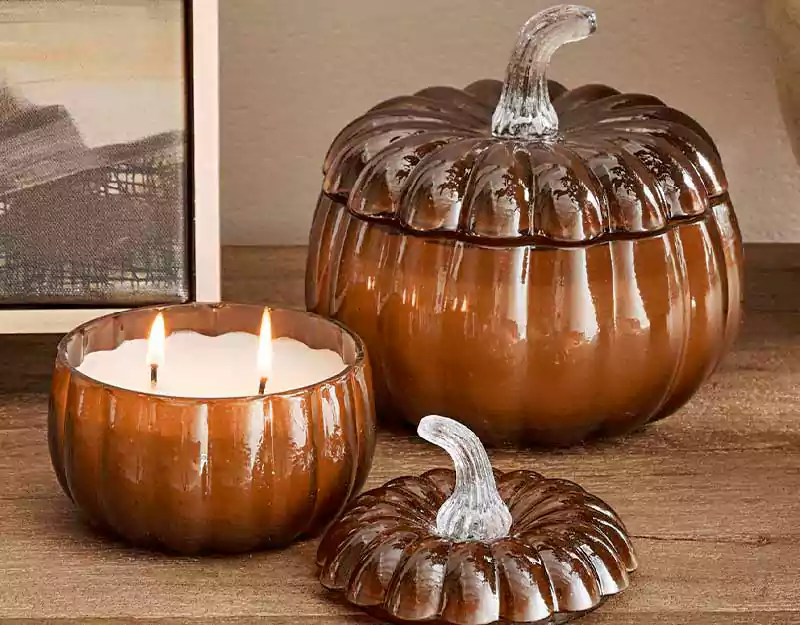 thanksgiving pumpkin image