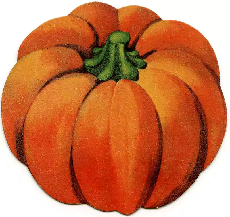thanksgiving pumpkin image