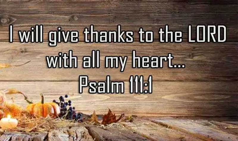 thanksgiving scripture image