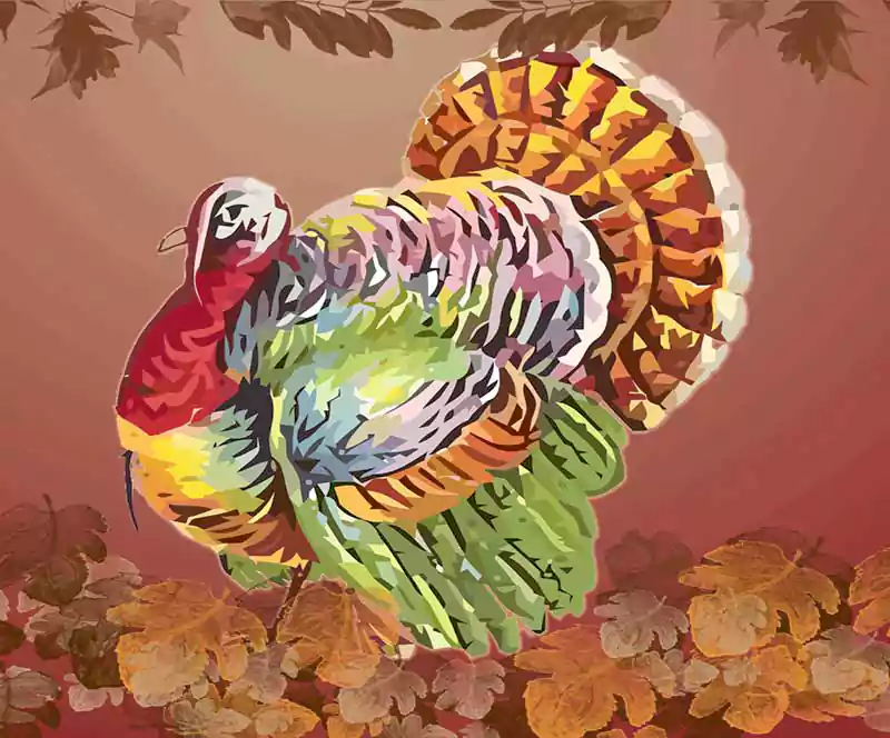 thanksgiving turkey background