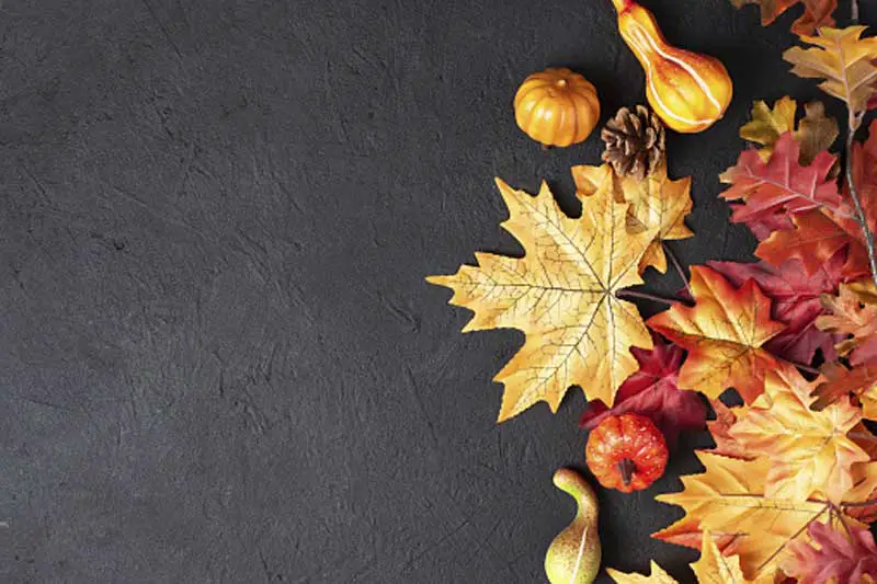 autumn thanksgiving wallpaper