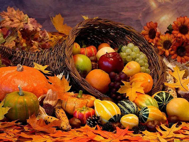 autumn thanksgiving wallpaper