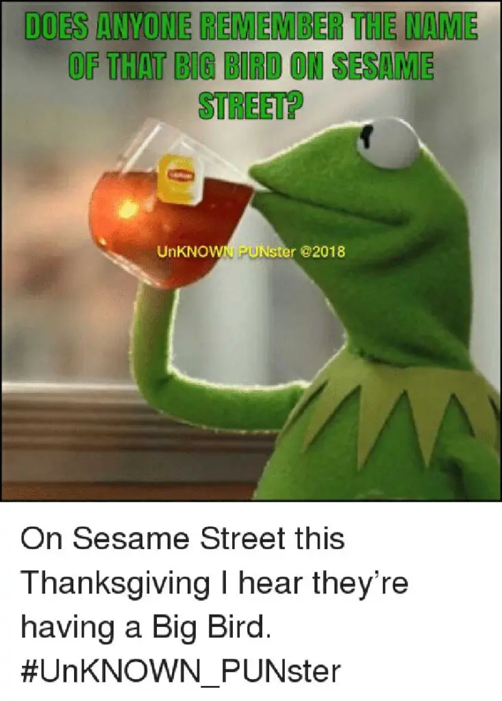big bird thanksgiving meme