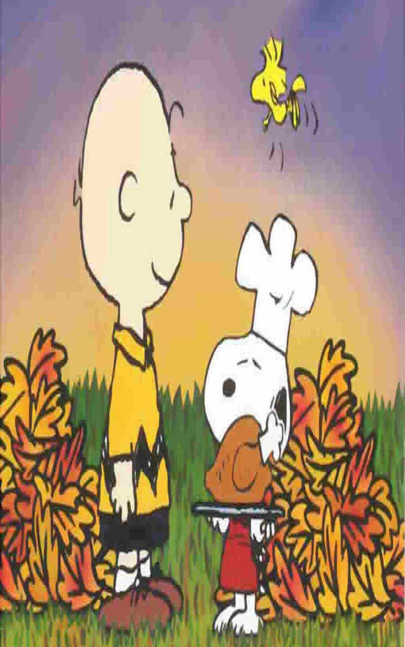 50+ Charlie Brown Thanksgiving Wallpapers Free Download 2023 ...