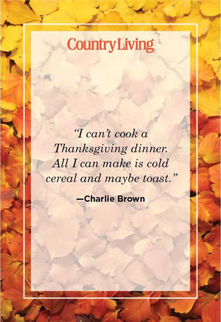funny thanksgiving quotes